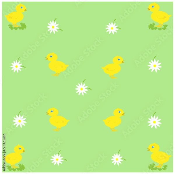 Fototapeta There are little yellow chickens and daisies in a green meadow. The concept of Easter and agriculture