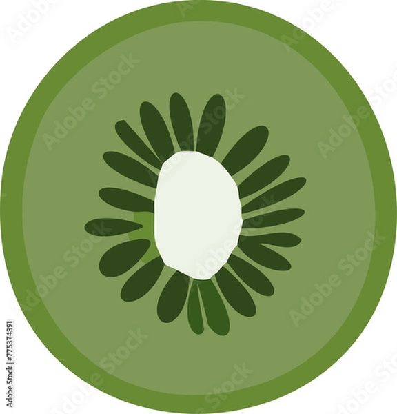 Obraz kiwi illustration