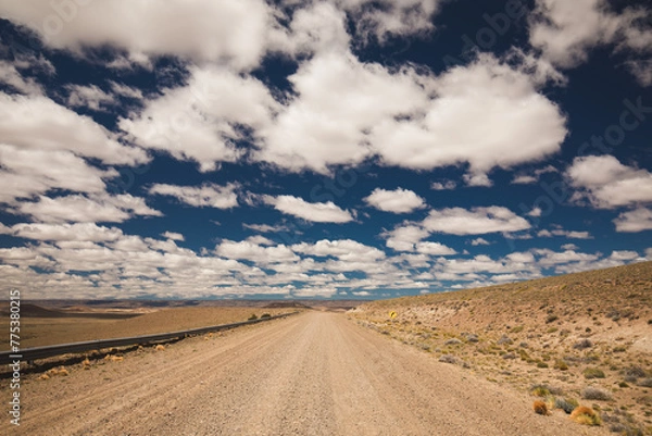 Fototapeta Driving in Pampas in geographical region that encompasses the southern end of South America in Argentina and Chile region comprises the southern section of the Andes Mountains with lakes, fjords