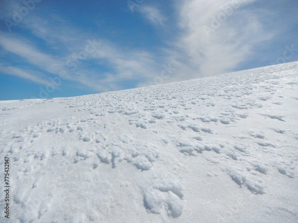 Fototapeta 大朝日岳の雪原