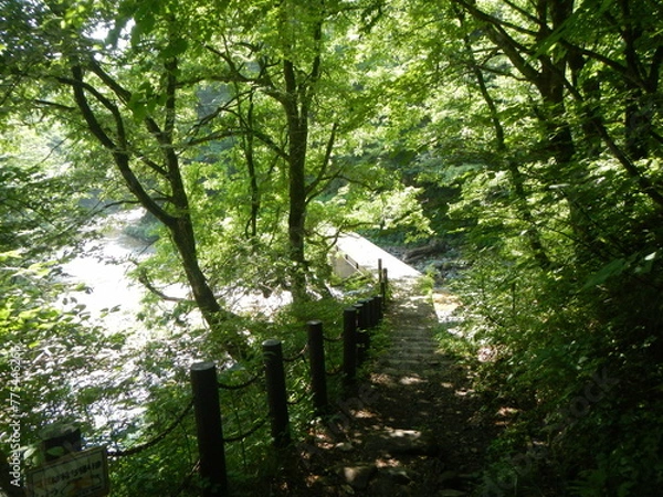 Fototapeta 三方倉山 二口峡谷自然歩道 名取川