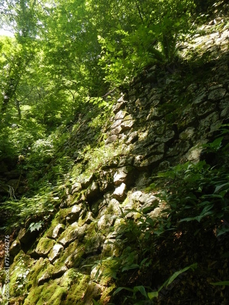 Obraz 三方倉山 二口峡谷自然歩道の石垣