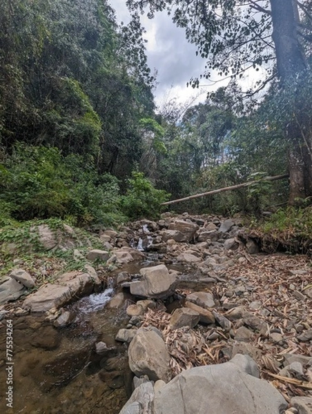Obraz river in the mountains