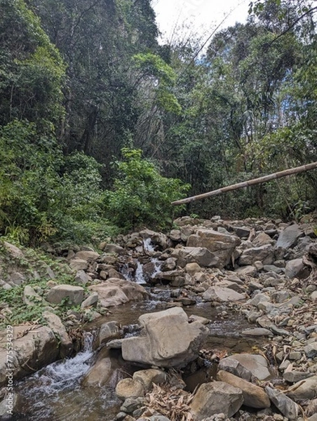 Obraz river in the mountains