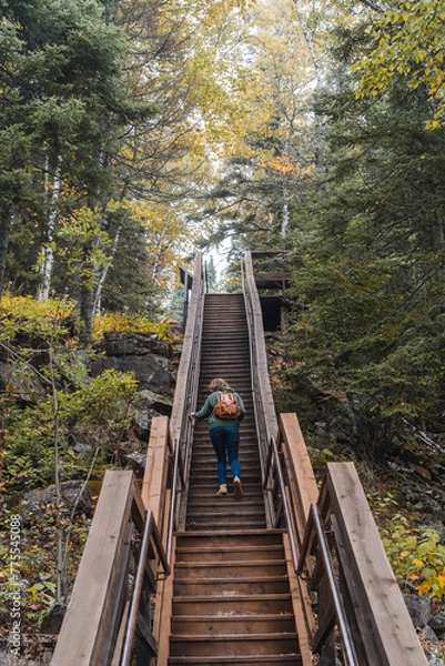 Fototapeta bridge in the forest (minnesota)