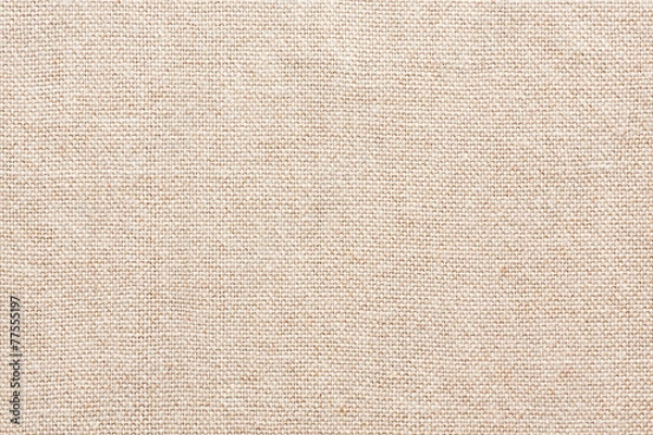 Fototapeta Puste tło płótna