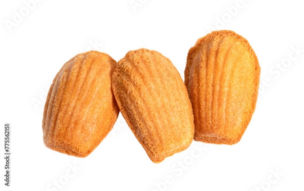 Fototapeta madeleine cookies on white background