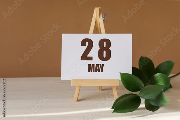 Fototapeta May 28th. Day 28 of month, Calendar date. Green branch, easel with the date and month on desktop. Close-up, brown background. Spring month, day of year concept
