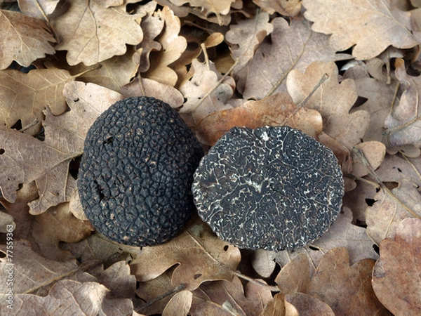 Fototapeta black truffles