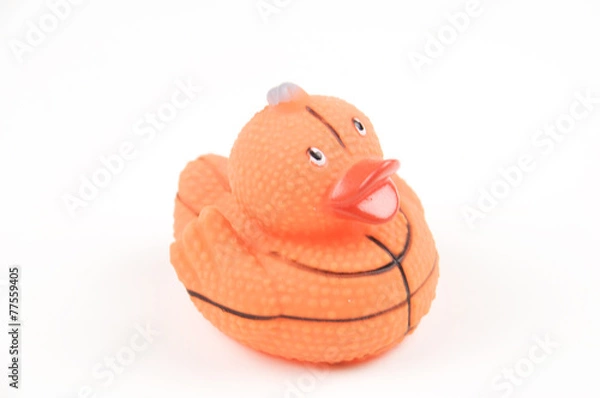 Fototapeta Sportive bathing ducks