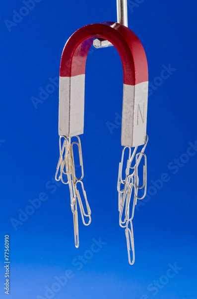 Obraz Horseshoe magnet