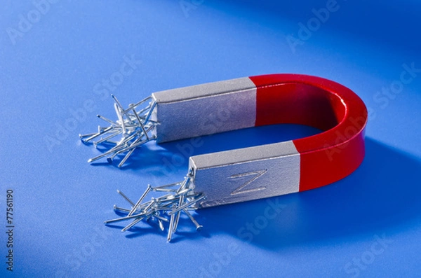 Obraz Horseshoe magnet