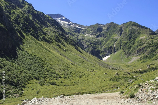 Obraz Summer mountains