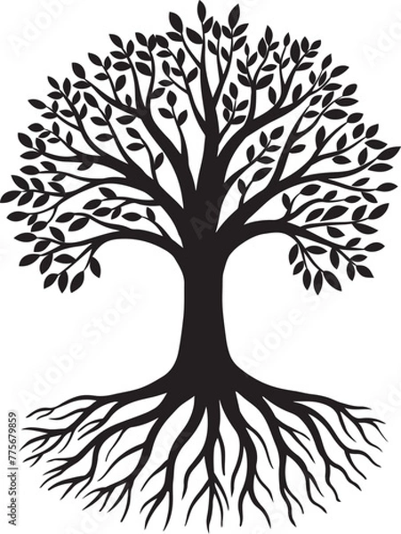 Obraz Tree silhouette on white background