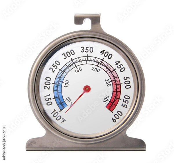 Obraz Oven Thermometer