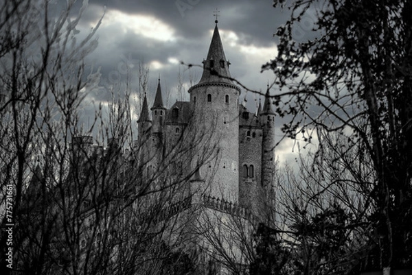 Obraz Alcazar de Segovia