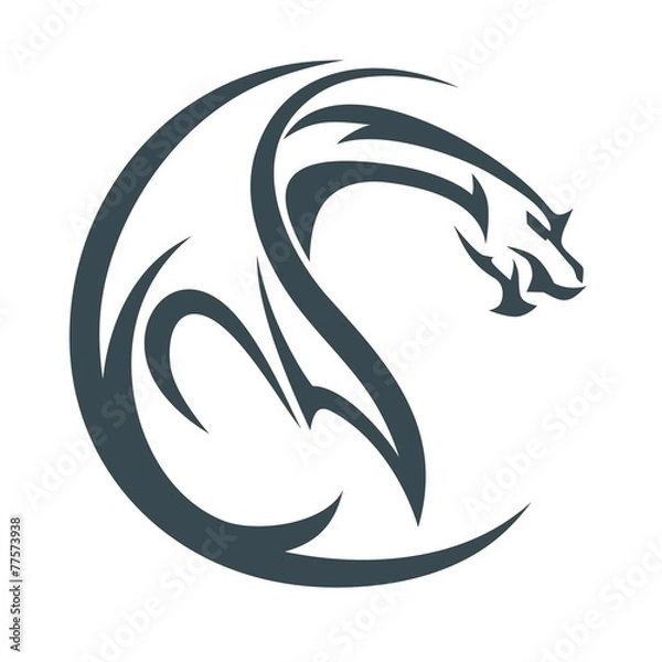 Obraz Dragon Streszczenie