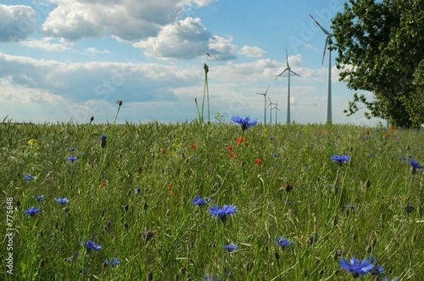 Obraz windkraft