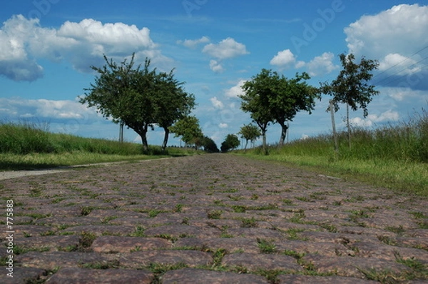 Obraz kopfsteinpflaster