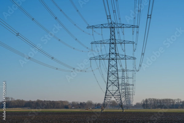 Fototapeta A row off electrical towers in the Dutch countryside.
