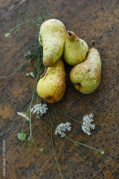 Obraz pere sul tavolo