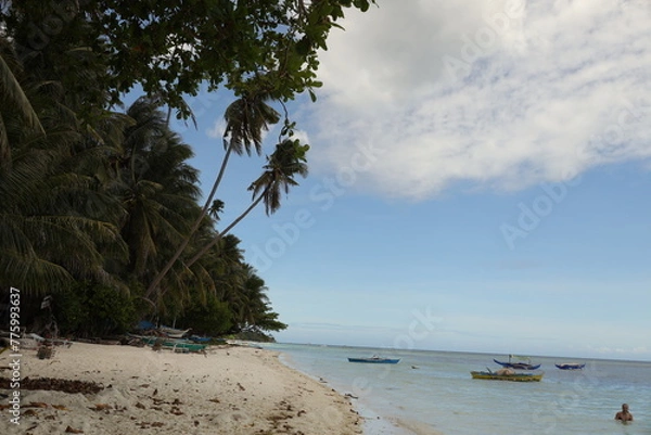 Obraz beach with vegetation, Siquijor.