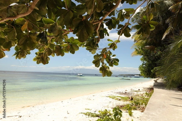 Obraz Talisay trees on the beach