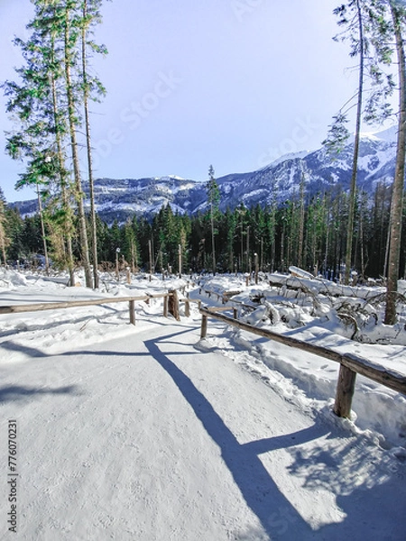 Obraz winter trail in mountains 