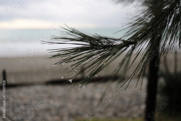 Obraz После дождя