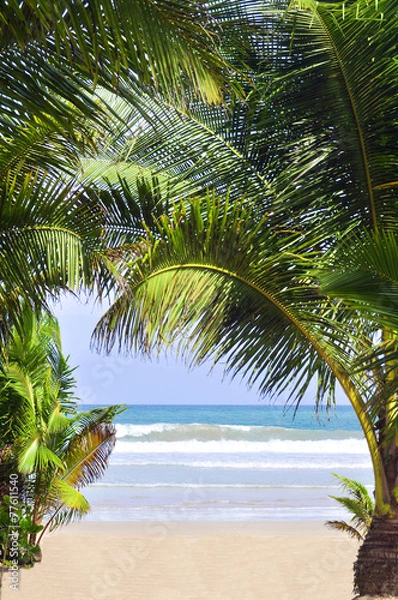 Fototapeta The beach