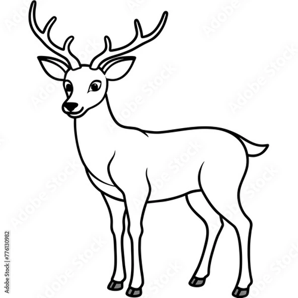 Fototapeta deer illustration