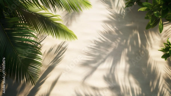 Fototapeta A close-up of distinct palm leaf shadows sprawling over a fine sandy surface, conveying a warm, tropical vibe
