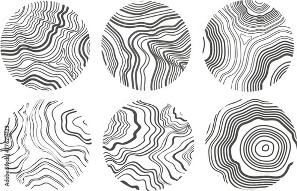 Fototapeta Abstract growth rings of a tree.Line design of a wooden stump.Tree cut pattern.Vector topographic map concept drawn with black lines on a white background. 