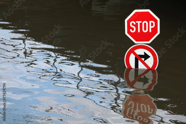 Obraz Floods in Usti nad Labem, Czech Republic.