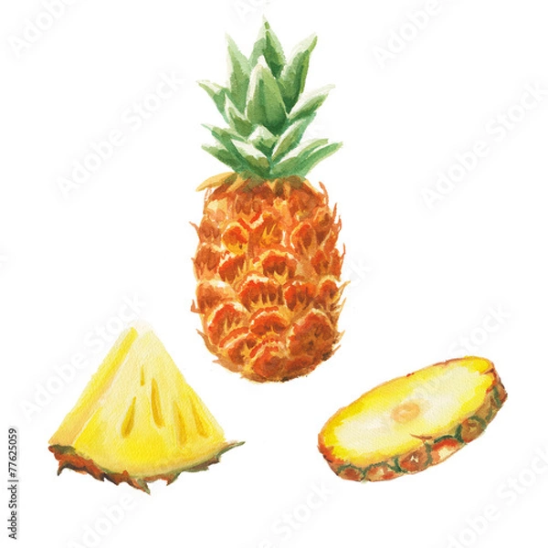 Obraz watercolor pineapple set