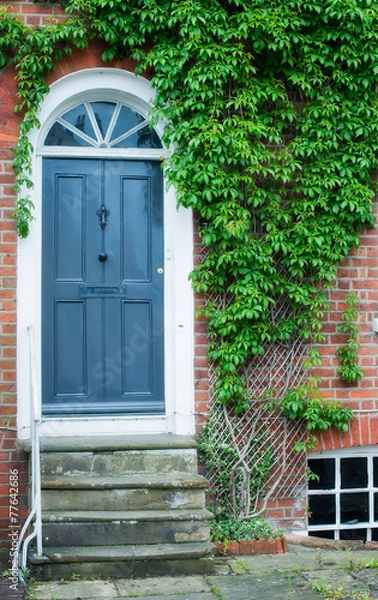 Fototapeta front door