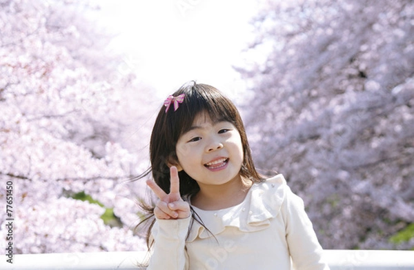 Obraz 五条川の桜と女の子