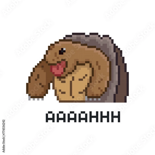 Obraz Turtle aahhh, pixel art meme