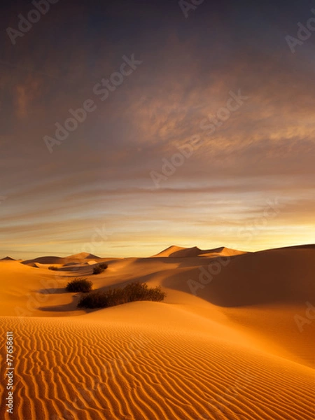 Obraz sunset dunes