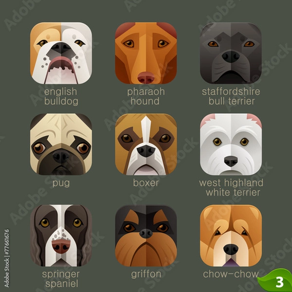 Fototapeta Animal faces for app icons-dogs set 2