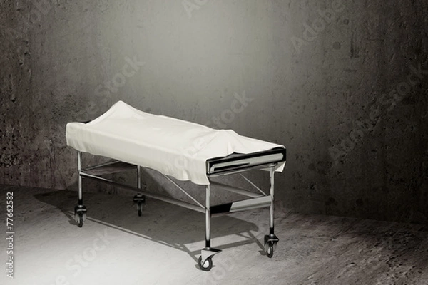 Obraz cadaver covered