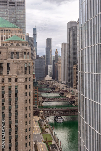 Fototapeta Chicago Downtown. Cityscape image of Chicago, Ill. USA during twilight blue hour showing high rises,  green river for St. Patricks Day and river walk in the downtown district.