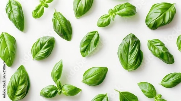 Fototapeta Basil leaves isolated on white background. Top view. Flat lay