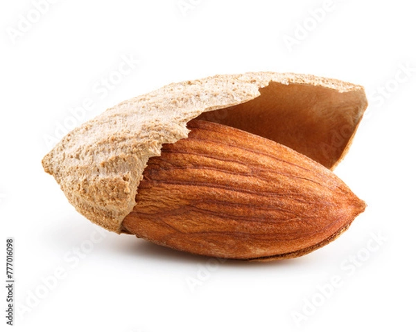 Obraz Almond nut in shell