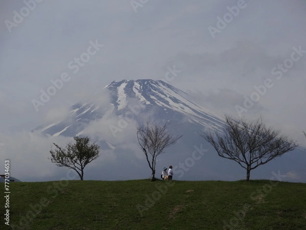 Fototapeta 	雪をまとった富士山