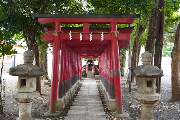 Obraz 日本の東京都にある花園神社