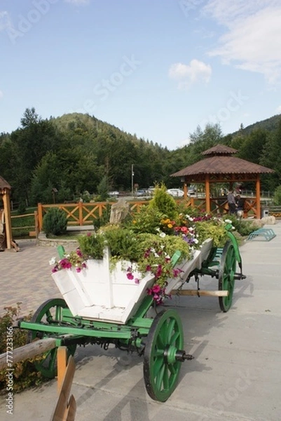 Obraz cart with flowers