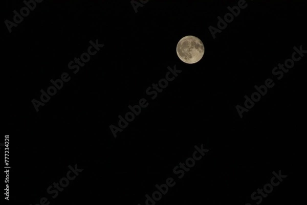 Obraz moon in the sky