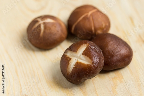 Obraz Shiitake mushroom