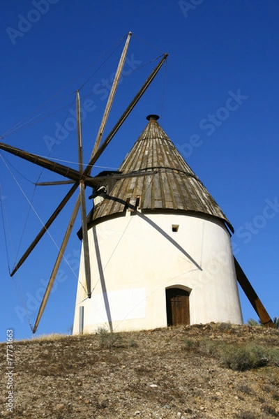 Fototapeta moulin à Las Negras
